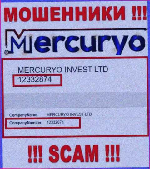 Номер регистрации неправомерно действующей компании Меркурио Ко Ком: 12332874