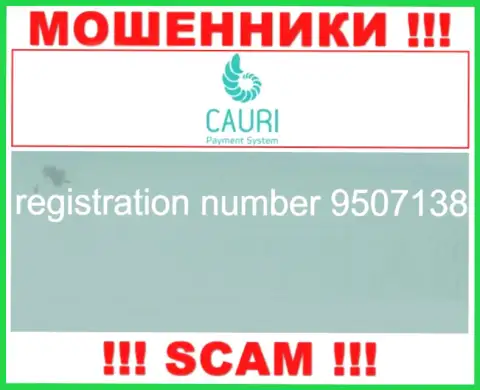 Номер регистрации, который принадлежит мошеннической компании Каури - 9507138