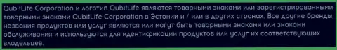 Мовчан Групп - это компания, которая также имеет отношение к БитКоган Ком