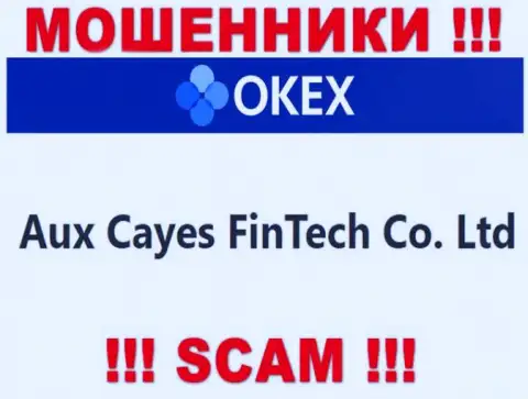 Aux Cayes FinTech Co. Ltd - организация, владеющая internet-разводилами OKEx Com
