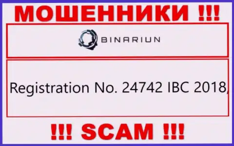 Регистрационный номер компании Namelina Limited, которую лучше обходить стороной: 24742 IBC 2018