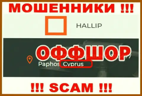 Лохотрон Халлип имеет регистрацию на территории - Cyprus