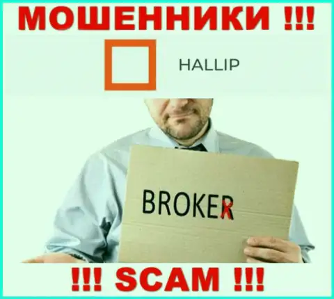 Тип деятельности internet-мошенников Халлип - это Брокер, но имейте ввиду это разводилово !