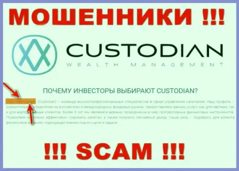 Юридическим лицом, владеющим интернет-мошенниками Custodian, является ООО Кастодиан