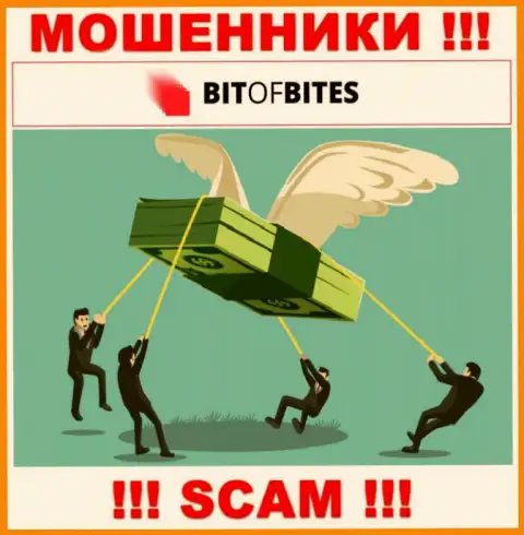 Не связывайтесь с компанией BitOfBites Com - не станьте очередной жертвой их мошеннических ухищрений