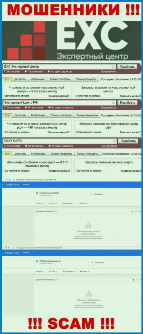 Статистика online-запросов по бренду Экспертный Центр России в интернет сети