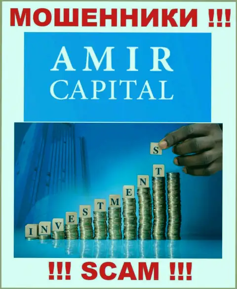 Не переводите деньги в Amir Capital, сфера деятельности которых - Инвестиции