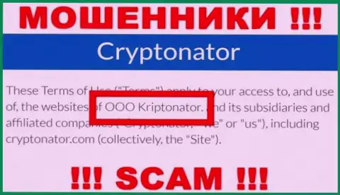 Компания Криптонатор Ком находится под управлением компании OOO Криптонатор