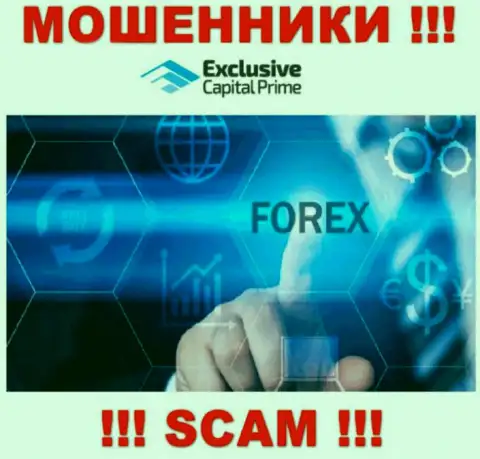 FOREX - это направление деятельности незаконно действующей компании Exclusive Capital