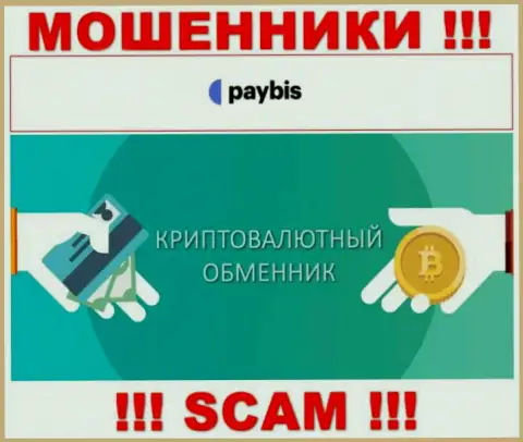 Крипто обменник это направление деятельности мошеннической организации Paybis LTD