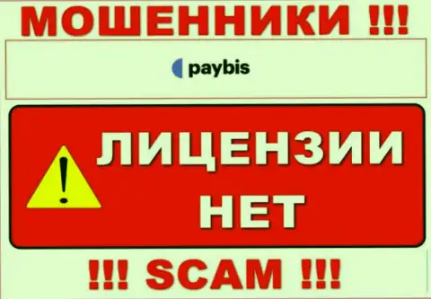 Данных о лицензии PayBis Com на их официальном web-сервисе не представлено - РАЗВОДИЛОВО !!!
