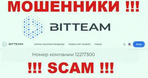Рег. номер, который присвоен организации BitTeam Group LTD - 12217300