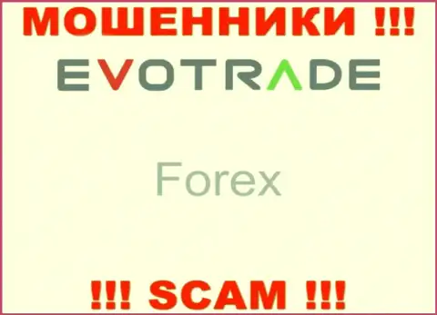 EvoTrade не вызывает доверия, Forex - это то, чем промышляют указанные мошенники