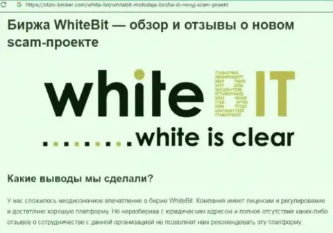 WhiteBit - это контора, сотрудничество с которой доставляет только потери (обзор афер)