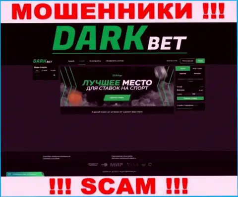Лживая информация от мошенников Dark Bet на их официальном сайте DarkBet Pro