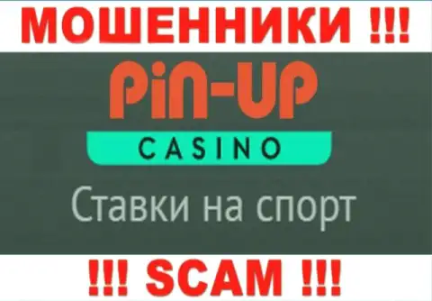 Основная работа Pin-Up Casino это Casino, осторожно, промышляют незаконно