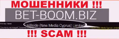 Юр. лицом, владеющим internet ворами BetBoom Biz, является Hillside (New Media Cyprus) Limited