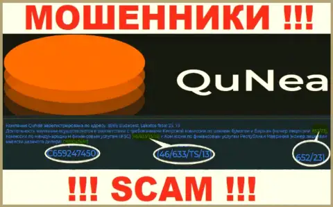 Мошенники Qu Nea не скрыли лицензию, разместив ее на интернет-сервисе, но будьте крайне внимательны !!!