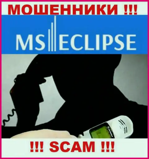 Не стоит верить ни одному слову представителей MS Eclipse, у них главная цель развести вас на финансовые средства