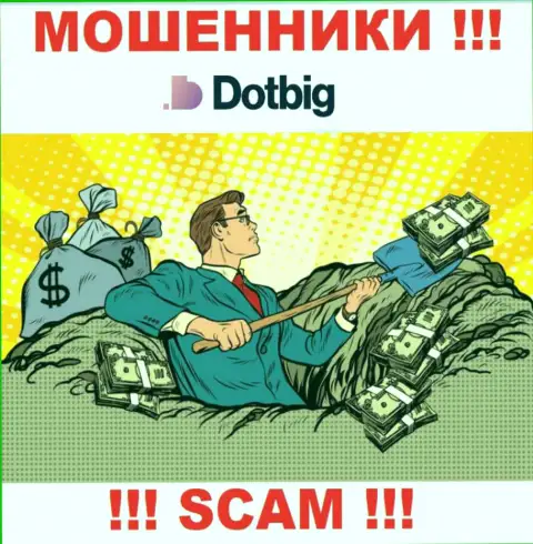 DotBig Com действует только лишь на прием денежных средств, поэтому не ведитесь на дополнительные финансовые вложения