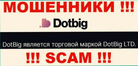 ДотБиг - юридическое лицо мошенников контора DotBig LTD