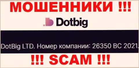 Регистрационный номер мошенников Dot Big, опубликованный ими у них на интернет-сервисе: 26350 BC 2021