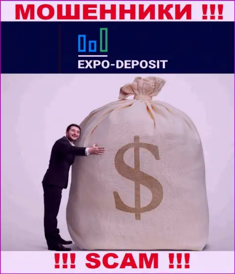 Нереально вернуть обратно вложенные деньги из организации Expo-Depo Com, так что ни копейки дополнительно заводить не надо