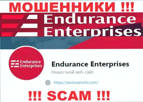 Пообщаться с internet мошенниками из организации Endurance FX Вы можете, если отправите сообщение им на е-мейл
