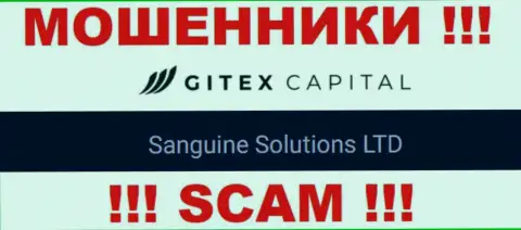 Юридическое лицо Гитекс Капитал - это Sanguine Solutions LTD, такую инфу предоставили мошенники на своем сайте
