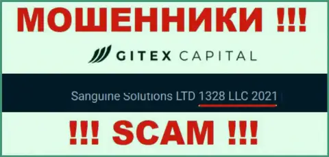 Регистрационный номер компании GitexCapital - 1328LLC2021