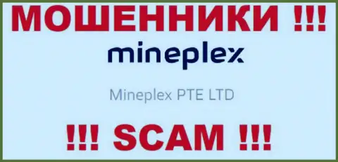 Руководителями MinePlex является контора - Mineplex PTE LTD