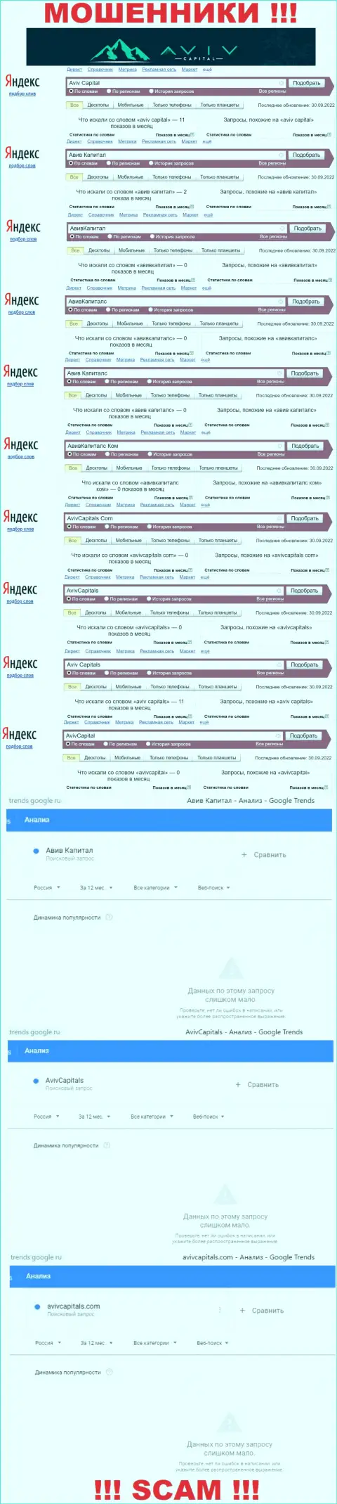 Статистические показатели поисков материала об коварных кидалах АвивКапитал Лтд