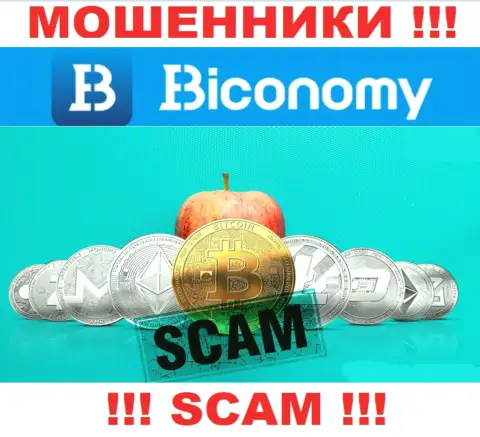 Не нужно доверять Biconomy Com - обещали неплохую прибыль, а в конечном результате оставляют без средств