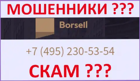 С какого номера телефона позвонят интернет мошенники из организации Борселл Ру неизвестно, у них их немало