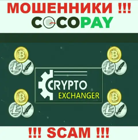 Coco Pay - это наглые internet мошенники, направление деятельности которых - Online-обменник