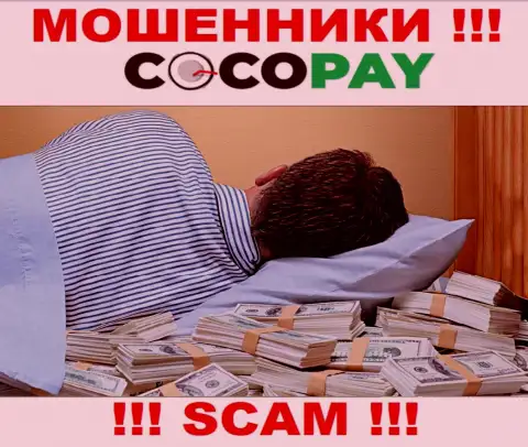 Вы не возвратите деньги, отправленные в компанию Coco-Pay Com - это internet-шулера ! У них нет регулирующего органа