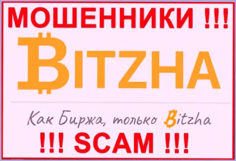 Bitzha24 Com - МОШЕННИКИ !!! Финансовые активы не возвращают !!!