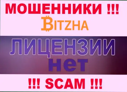 Мошенникам Bitzha24 не выдали лицензию на осуществление деятельности - отжимают финансовые вложения