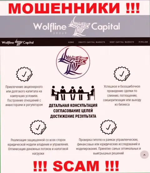Не верьте, что область работы WolflineCapital - Финансовый консалтинг легальна - это лохотрон