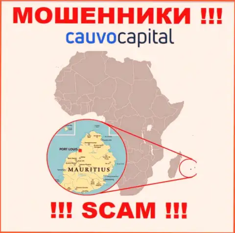 Организация Cauvo Capital сливает денежные активы клиентов, расположившись в офшоре - Маврикий
