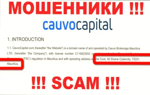 Нереально забрать денежные активы у компании CauvoCapital Com - они скрылись в офшоре по адресу The Core, 62 Ebene Cybercity, 72201, Mauritius