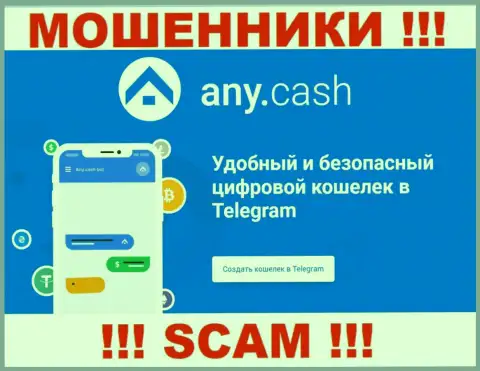 Any Cash это мошенники, их работа - Криптовалютный кошелёк, направлена на прикарманивание денежных активов доверчивых людей