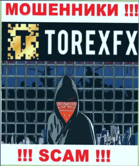 TorexFX скрывают информацию о руководителях конторы