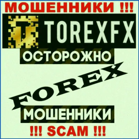 Направление деятельности TorexFX: Forex - отличный заработок для internet-мошенников